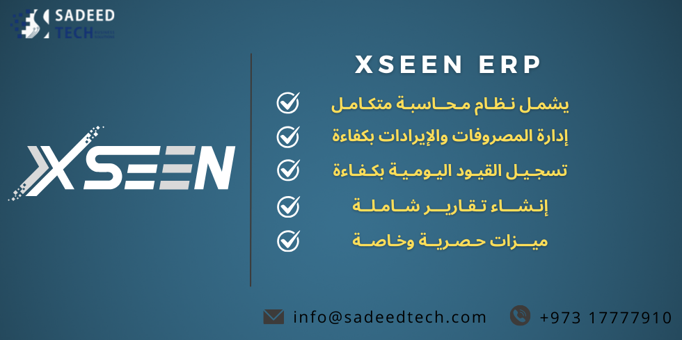 بطاقة برنامج XSEEN المحاسبي